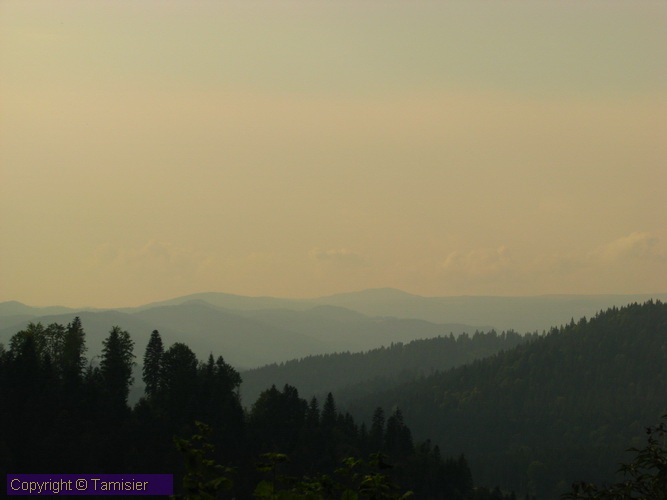 2008-08-29 15-54-43.JPG - 2008-RO>Ri Borsec